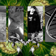 Click here to view the large image