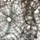 Click here to view the large image